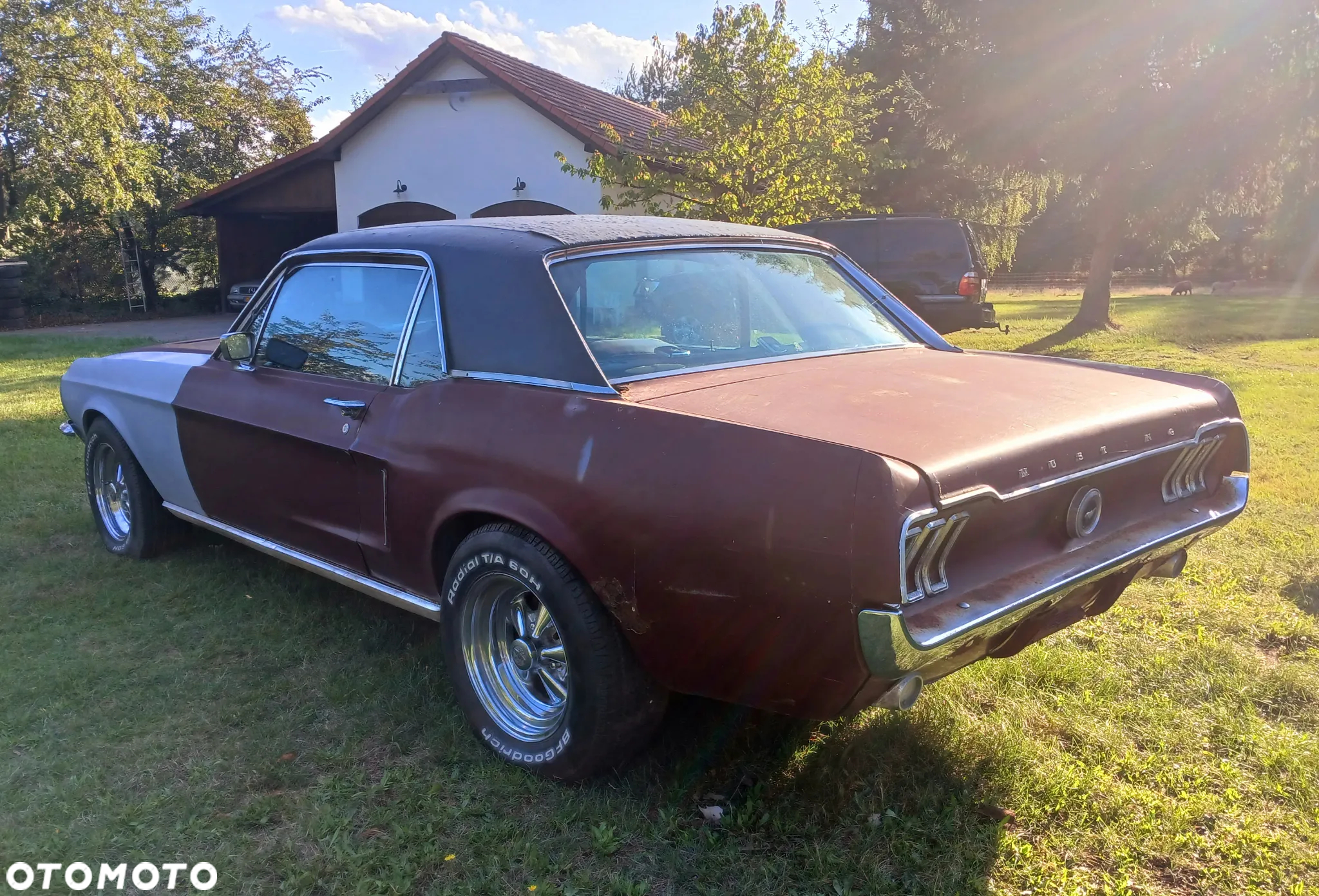 Ford Mustang - 3