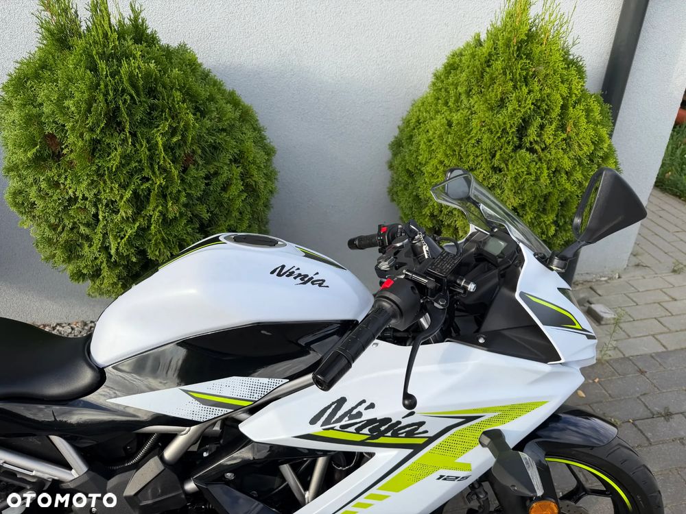 Kawasaki Ninja - 21