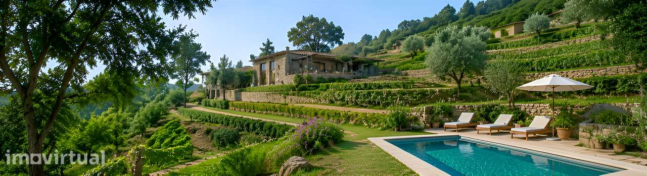 Quinta T3 em Marco de Canaveses - Grande imagem: 2/53