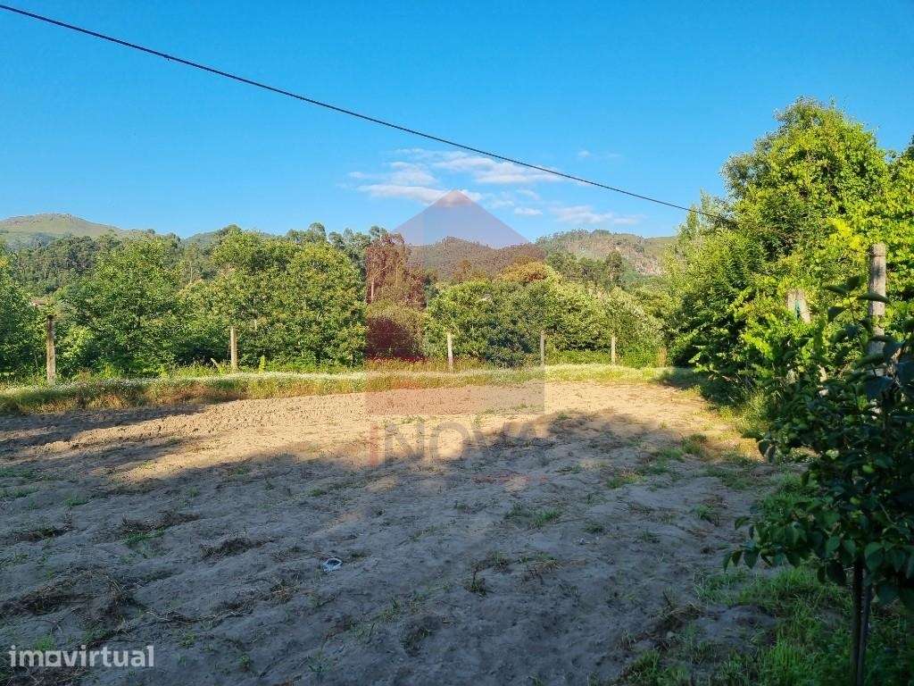 Terreno agrícola, Pico - Grande imagem: 5/12