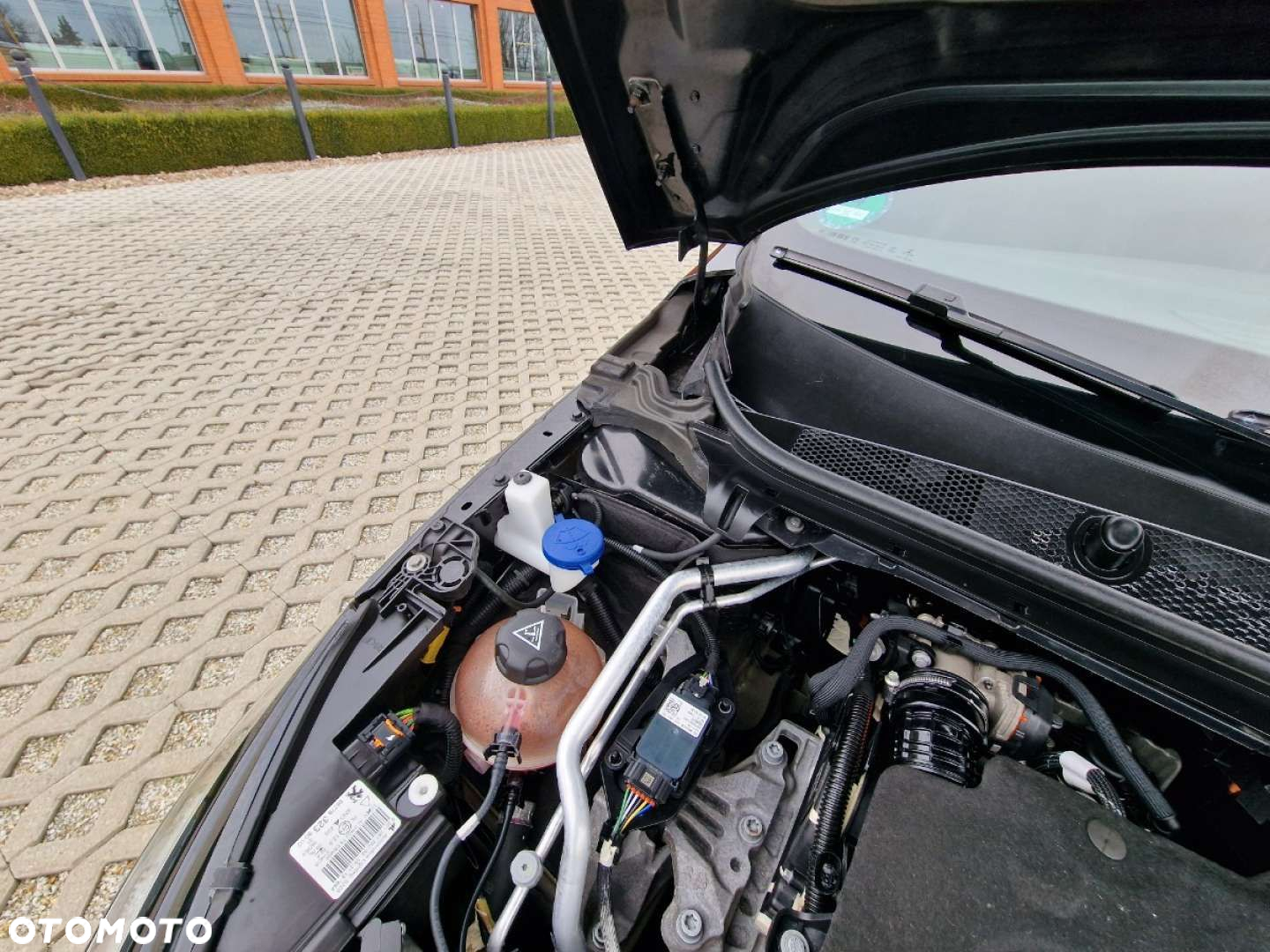 Peugeot 308 - 39