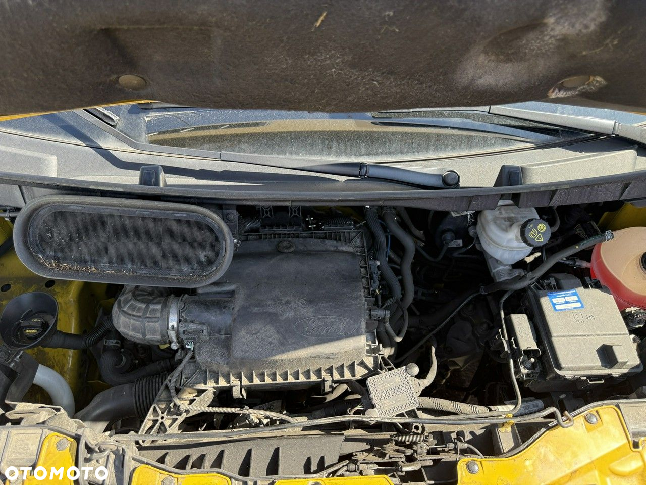 Ford Transit - 24