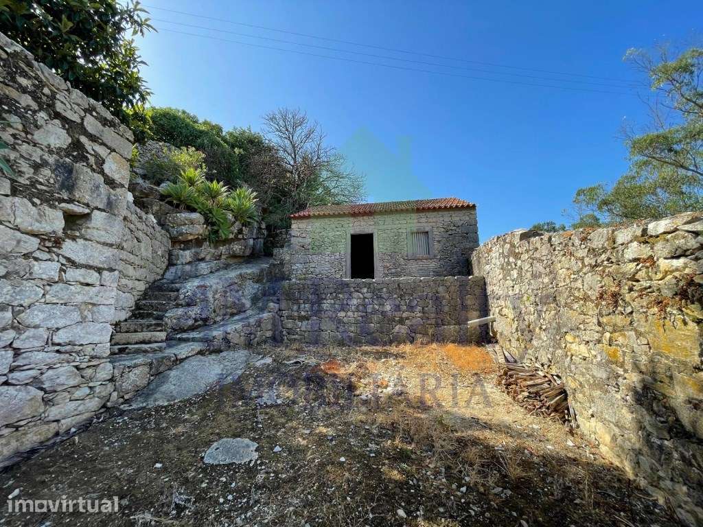 TERRENO RÚSTICO COM CASA AGRÍCOLA EM PEDRA|REGUENGO GRANDE|LOURINHÃ - Grande imagem: 5/30
