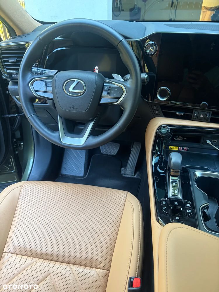 Lexus NX - 20