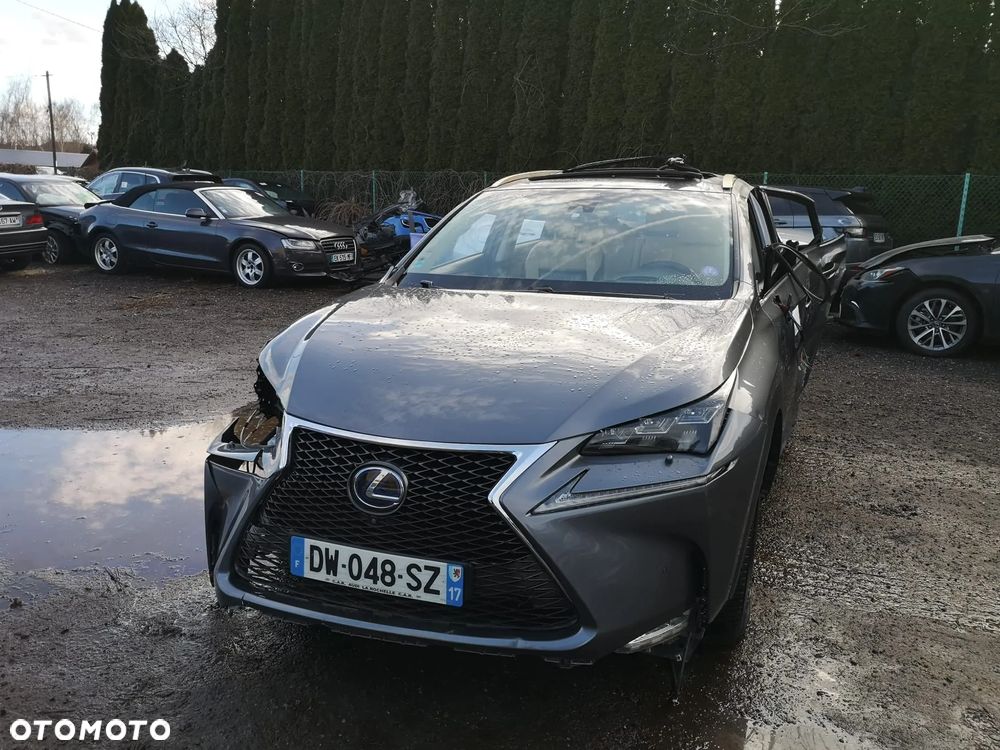 Lexus NX 300h E-FOUR Executive Line - 1