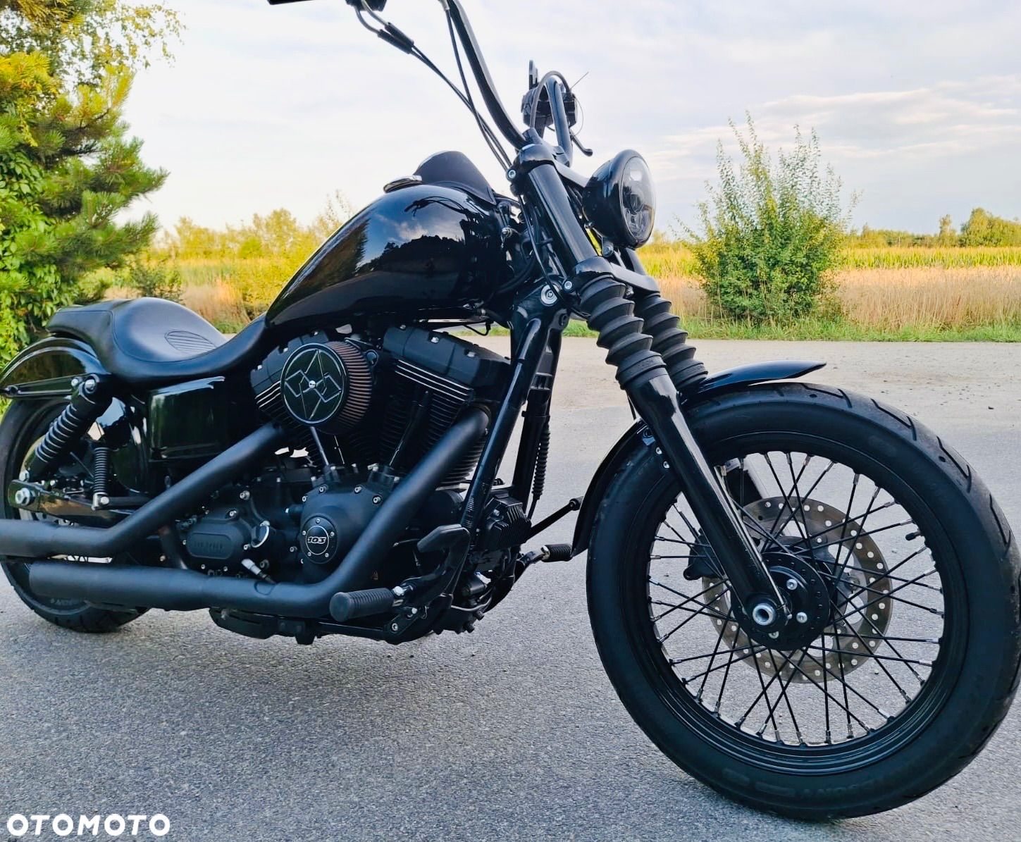 Harley-Davidson Dyna Street Bob - 1