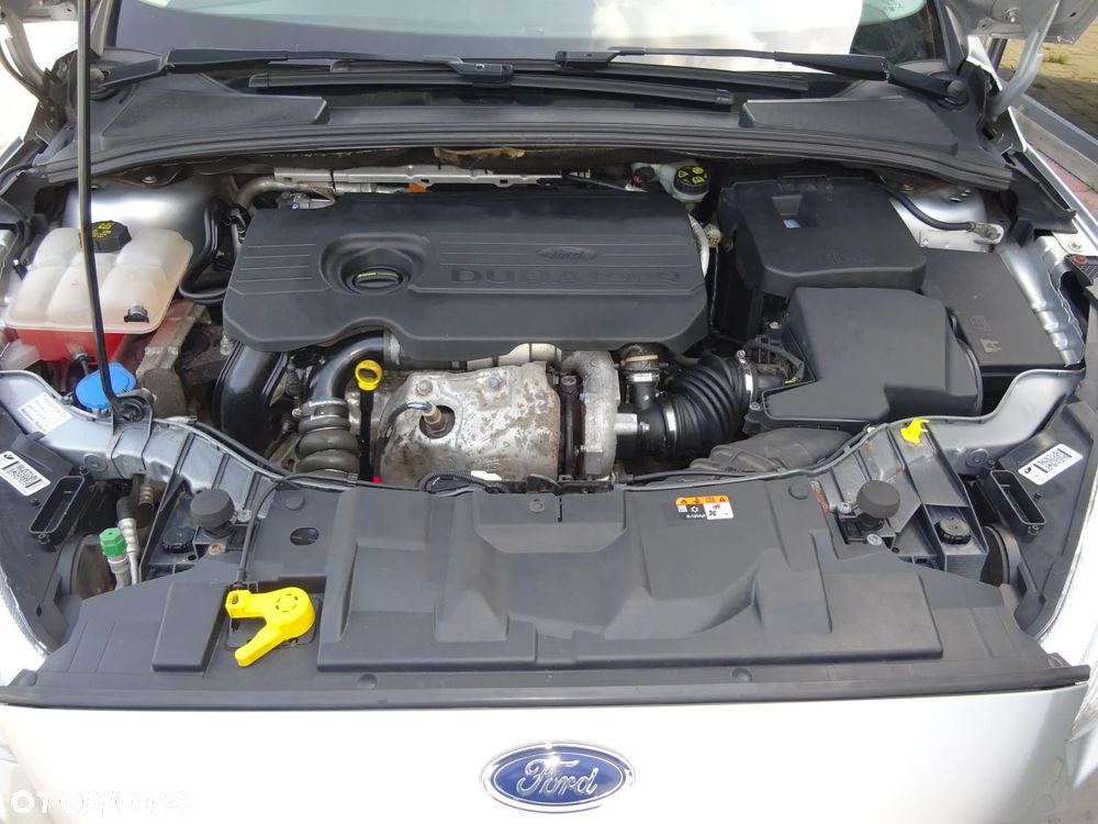 Ford Focus - 20