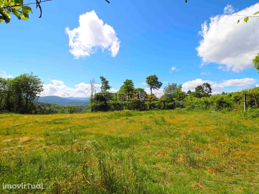 Casa de Aldeia - Terreno Plano - Grande imagem: 2/11