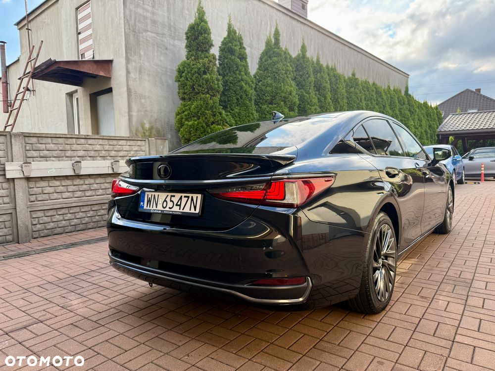 Lexus ES 300h Omotenashi - 3