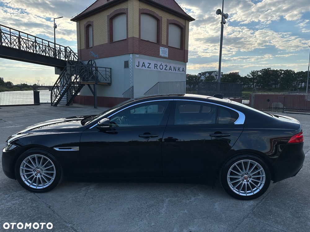 Jaguar XE E-Performance Pure - 7