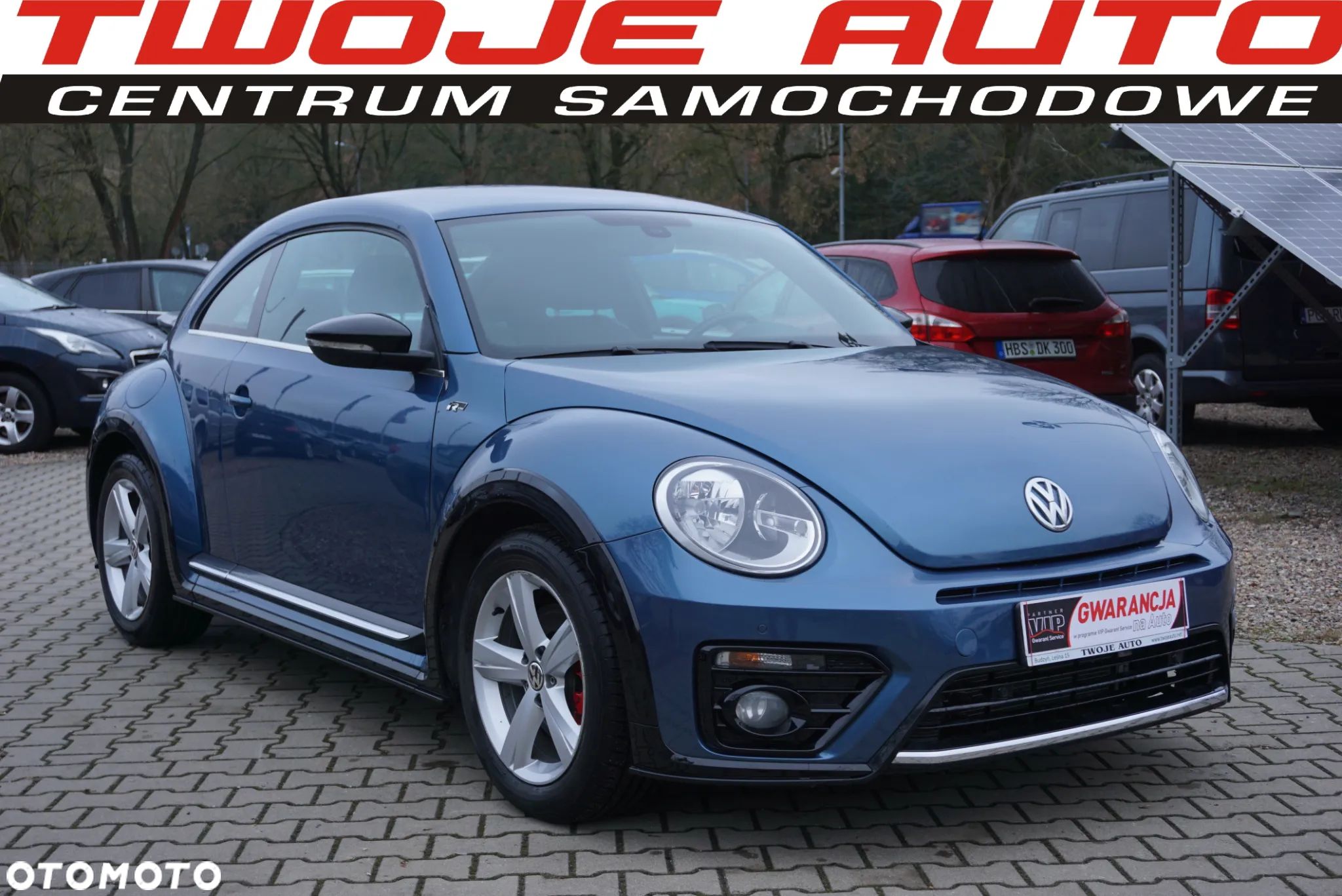 Volkswagen Beetle - 1