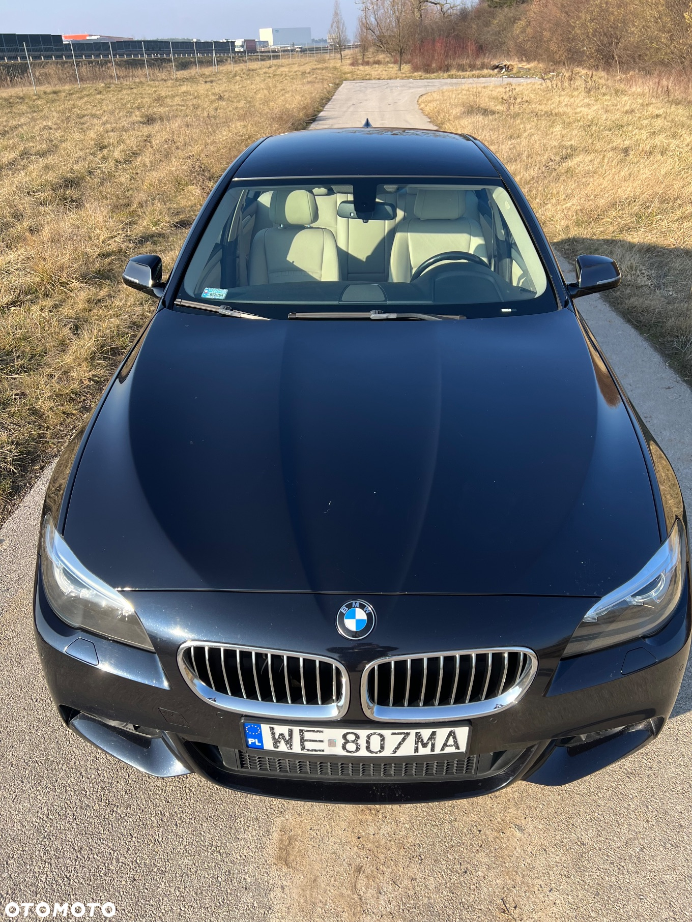 BMW Seria 5 520d xDrive - 6