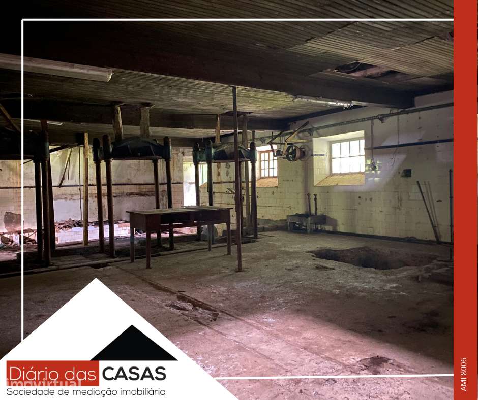 Lagar e 5 100m² de terreno - Grande imagem: 5/13