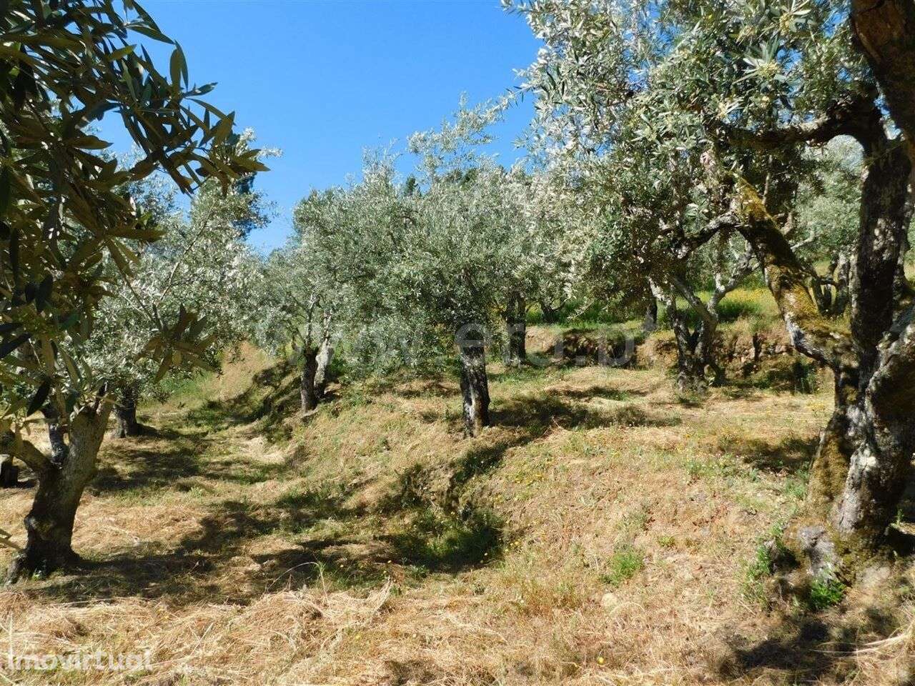 Terreno / Fundão, Silvares - Grande imagem: 5/9