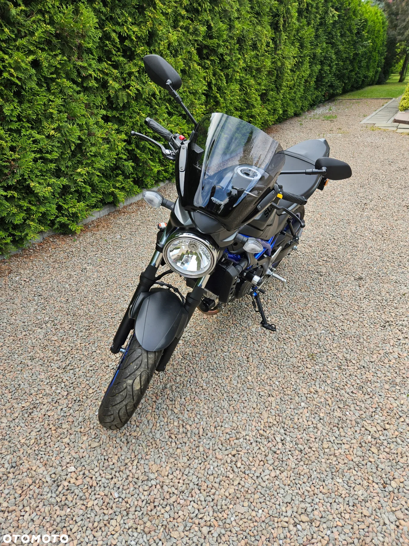 Suzuki SV - 7