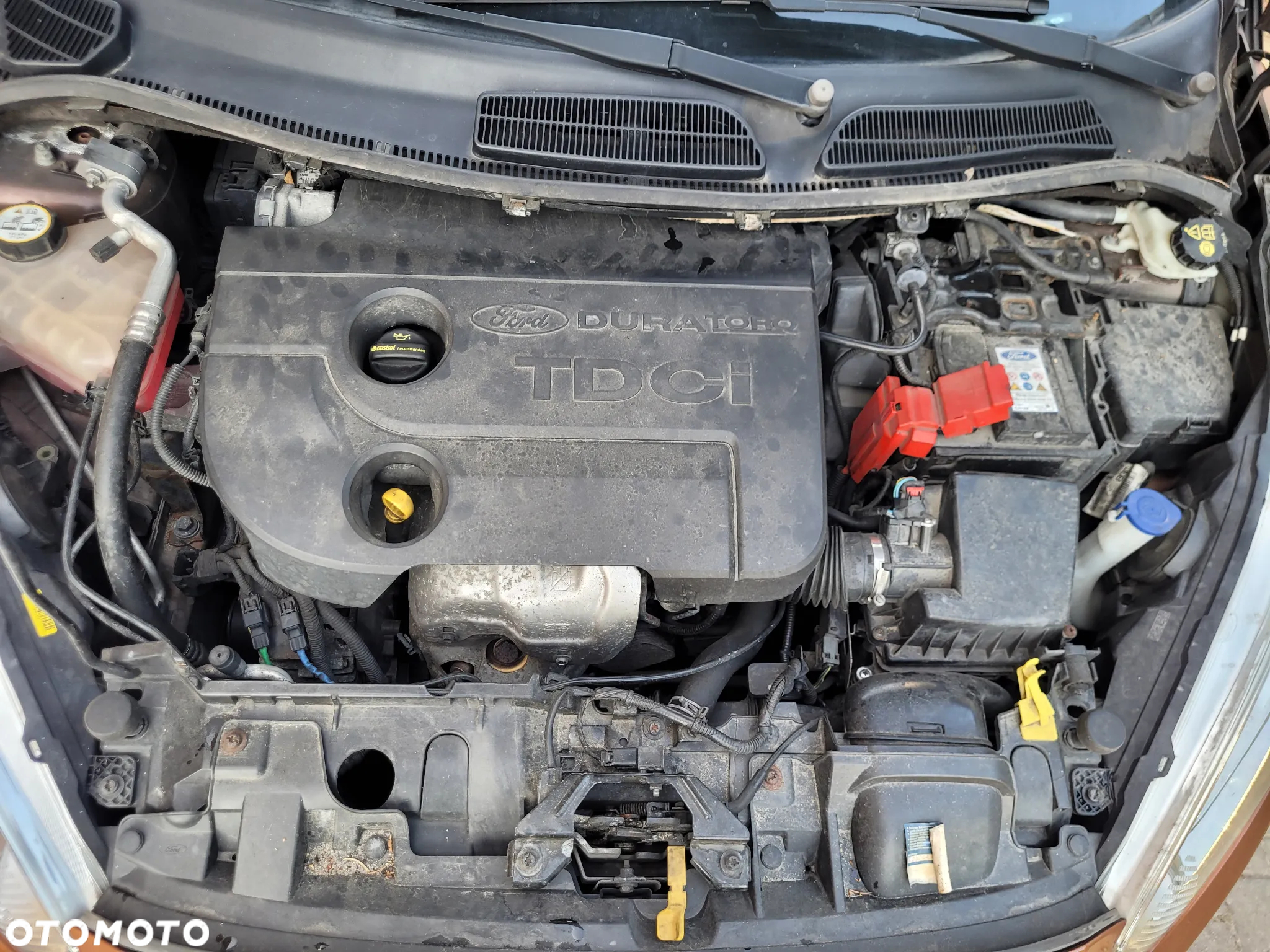 Ford Fiesta - 28