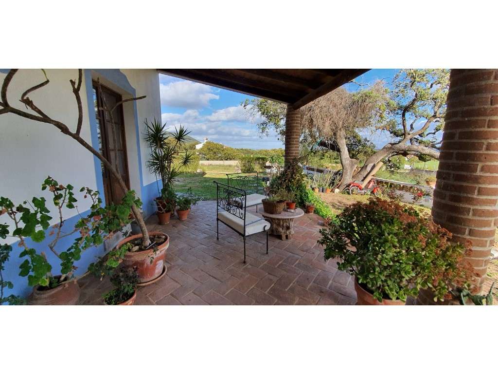 Quinta T5 com 11.250 m2 na zona de Serpa - Grande imagem: 2/45