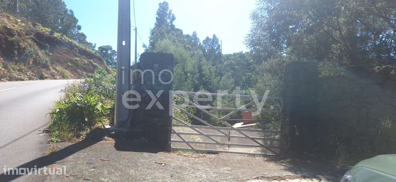 Moradia T2 remodelada na Ribeirinha, Camacha - Grande imagem: 3/37