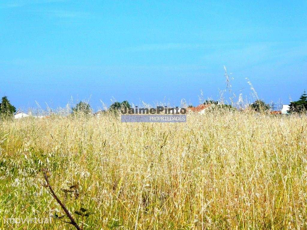 Terreno urbano 9.000m2. Portugal, Cacia, Aveiro. - Grande imagem: 2/4