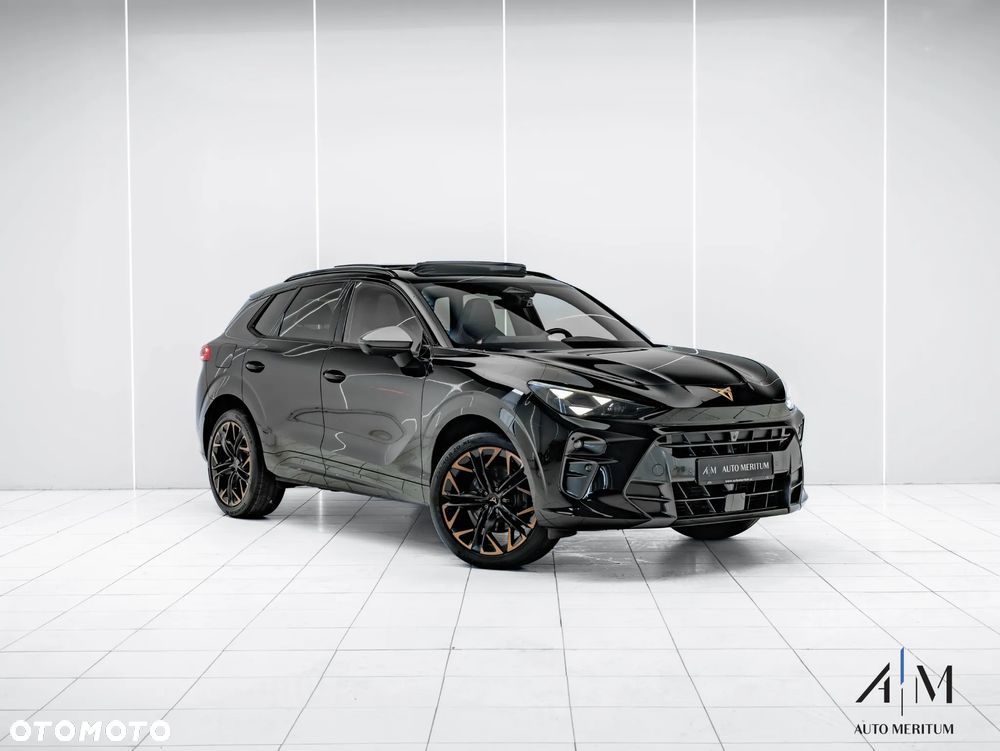 Cupra Terramar 2.0 TSI 4Drive DSG VZ - 6