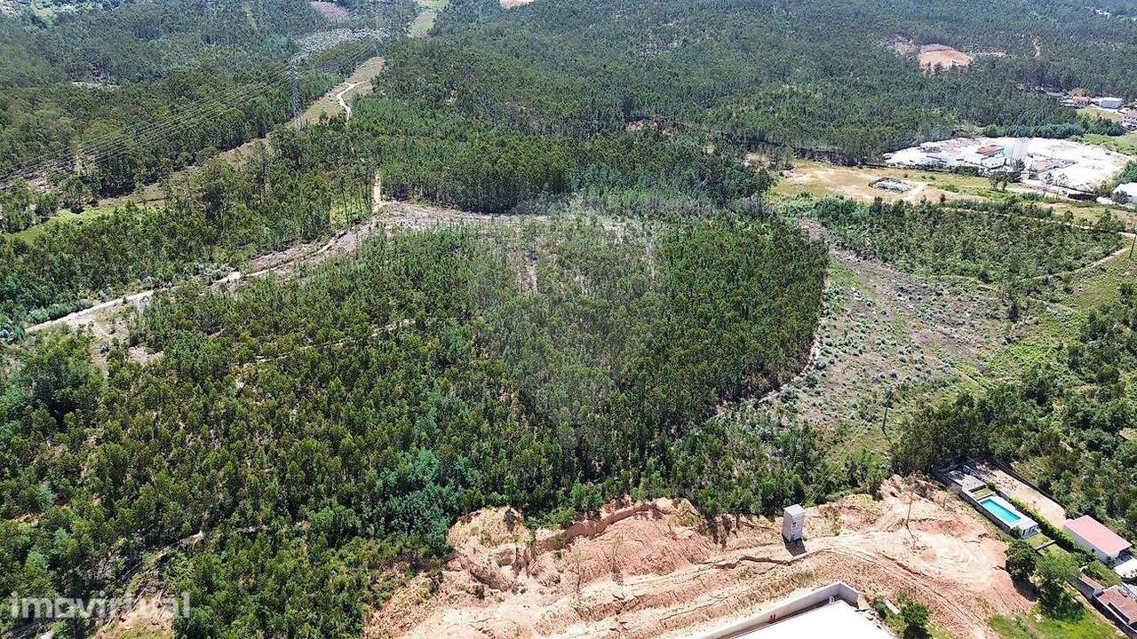 Terreno  para venda - Grande imagem: 5/5