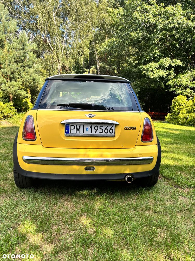 MINI Cooper pepper - 3