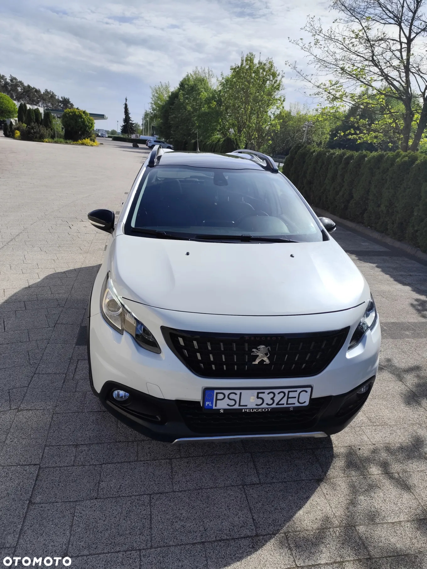 Peugeot 2008 - 7