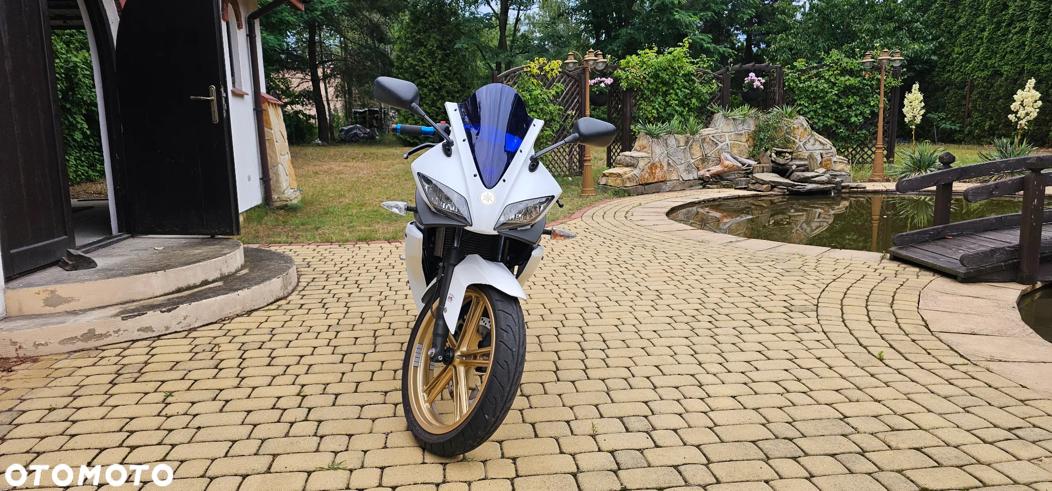 Yamaha YZF - 6