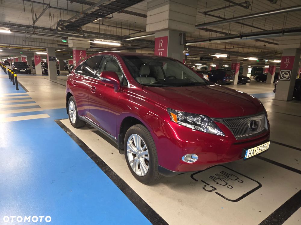Lexus RX - 1