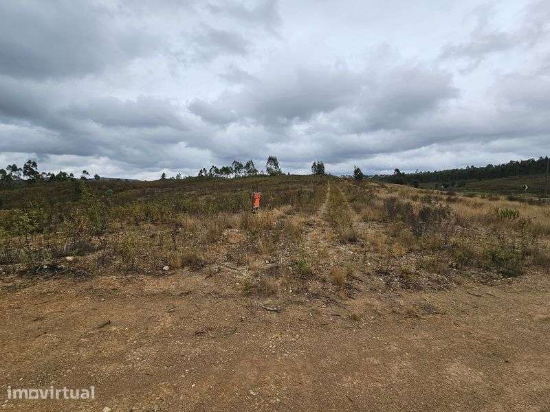 Terreno  Rural 10.200 M  junto a estrada 244 - Grande imagem: 2/12
