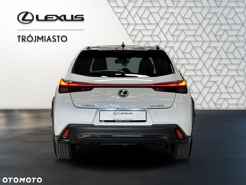 Lexus UX 250h GPF F Sport Design 2WD - 7