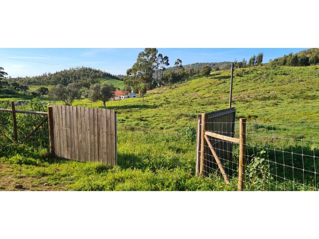 Quinta perto de São Luís - Grande imagem: 5/10