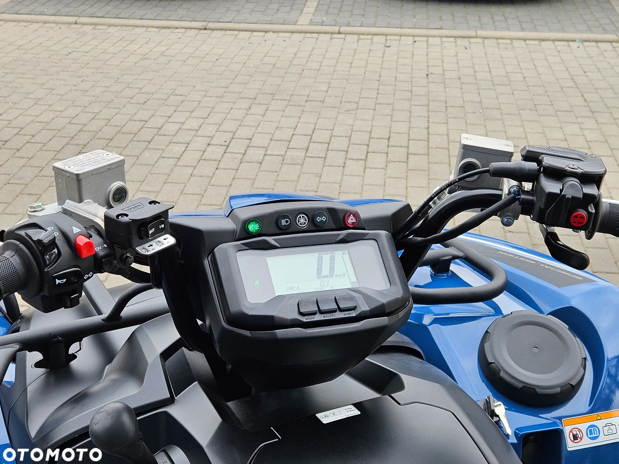 Yamaha Grizzly - 10
