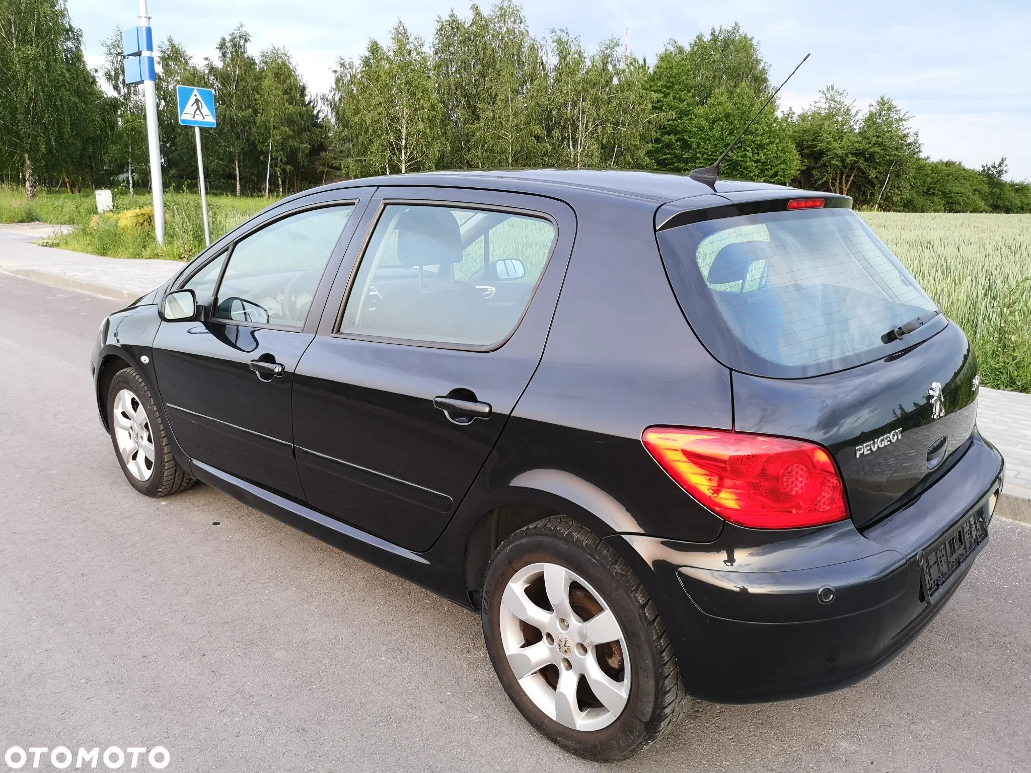 Peugeot 307 110 OXYGO - 11