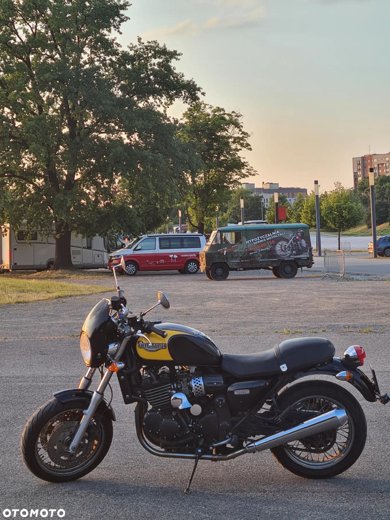 Triumph Thunderbird - 3