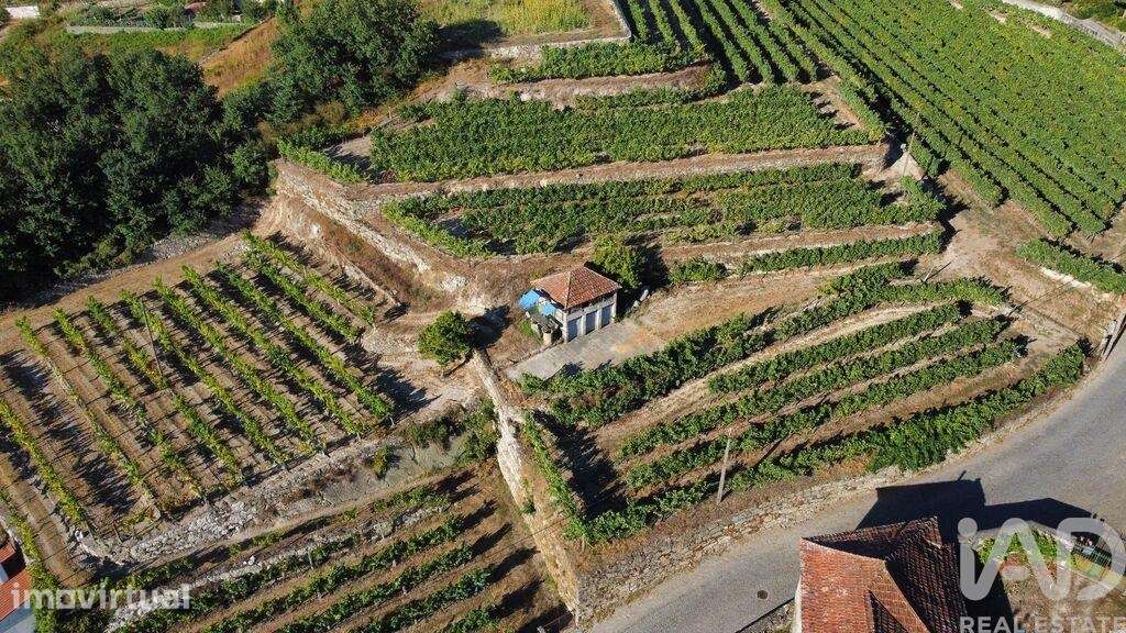 Terreno para construção em Figueiró - Grande imagem: 3/9