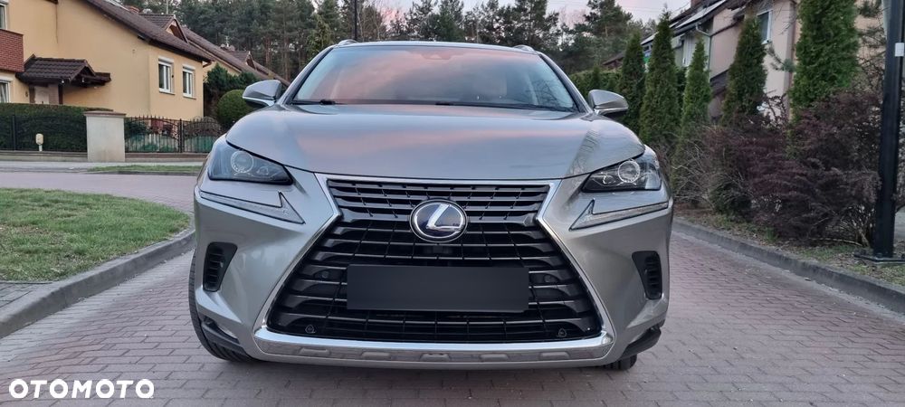 Lexus NX 300h Executive Line - 6
