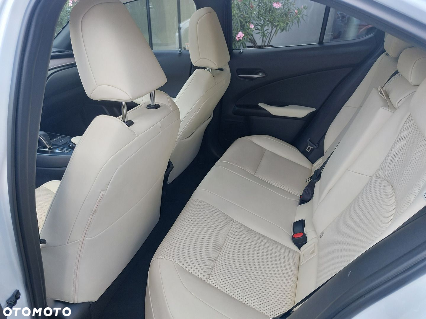 Lexus UX - 13