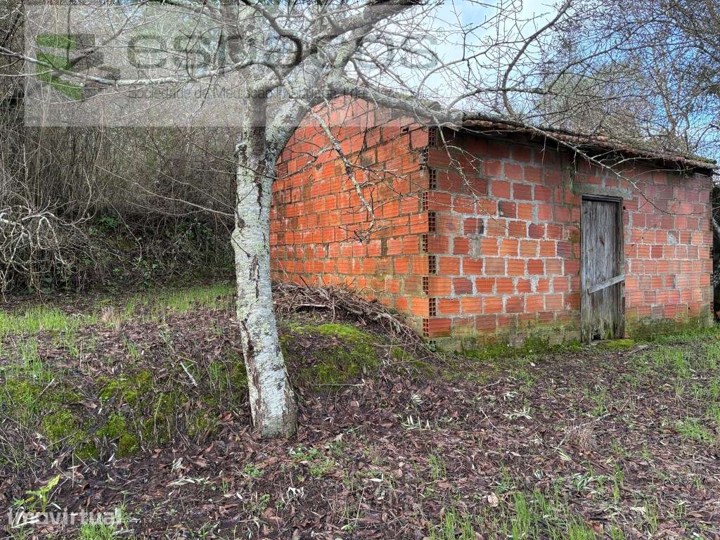 Terreno Urbano - Grande imagem: 4/17