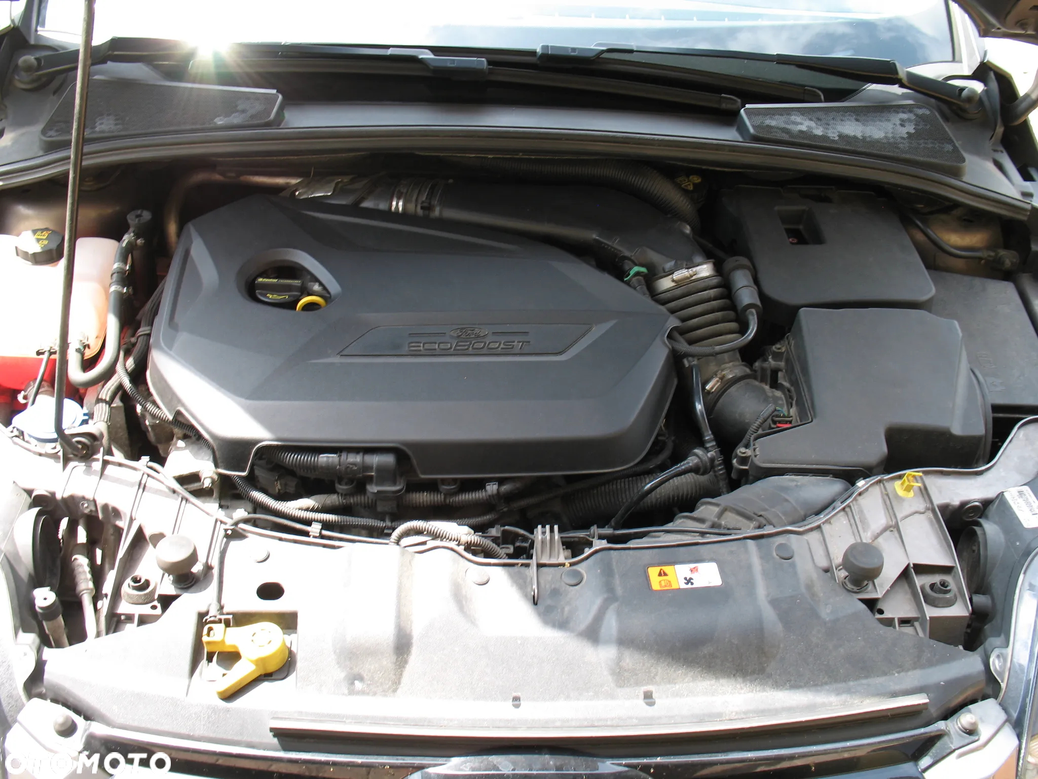 Ford Focus 1.6 EcoBoost Titanium - 19