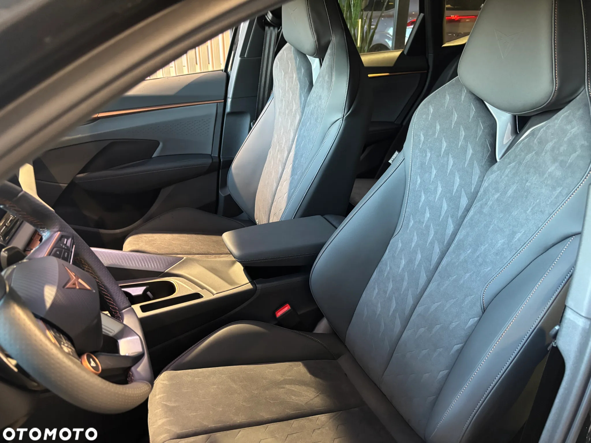 Cupra Terramar 2.0 TSI 4Drive DSG - 19