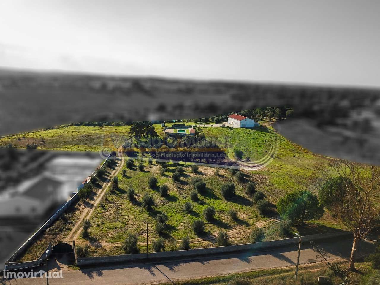 Quinta com moradia T3, armazém e piscina em cabeção (MOR061) - Grande imagem: 2/30