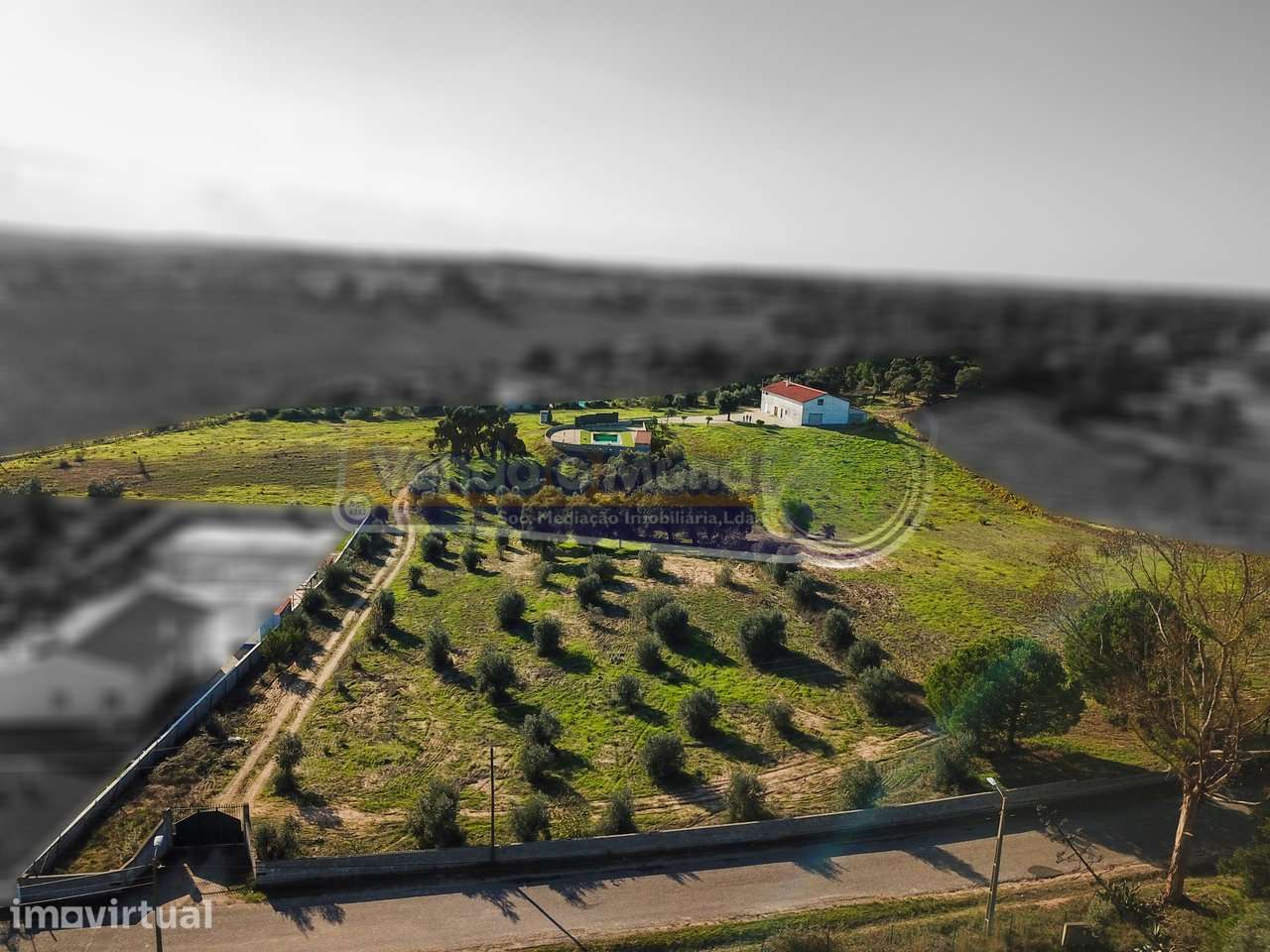 Quinta com moradia T3, armazém e piscina em cabeção (MOR061) - Grande imagem: 2/30