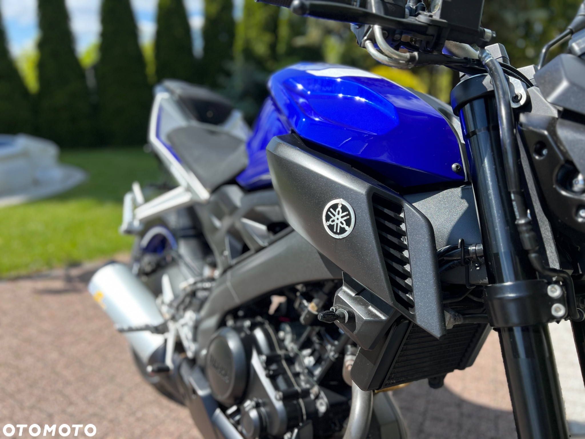 Yamaha MT - 5