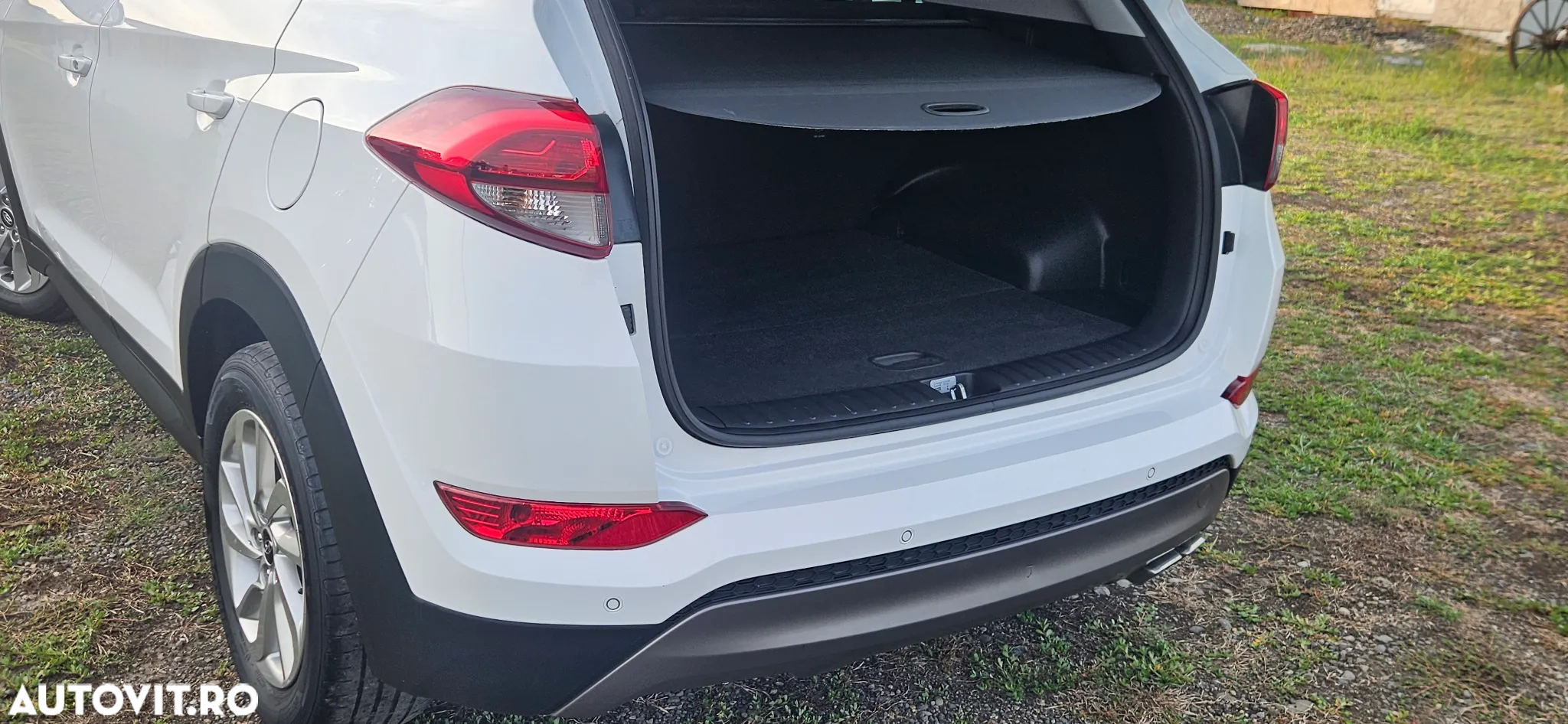 Kia Sportage - 6