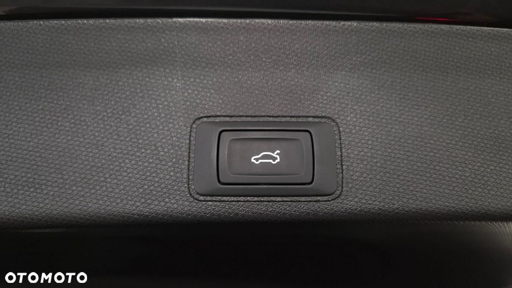 Cupra Terramar - 6