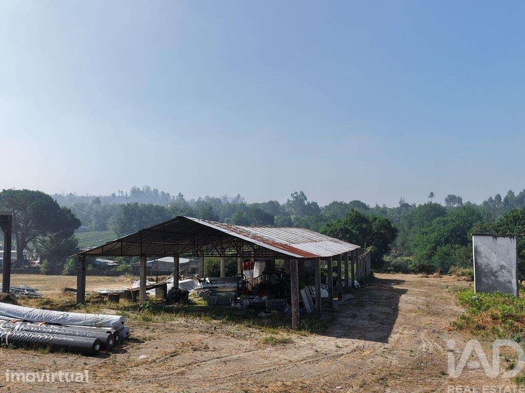 Hangar em Mangualde, Mesquitela e Cunha Alta de 320,00 m2 - Grande imagem: 3/8
