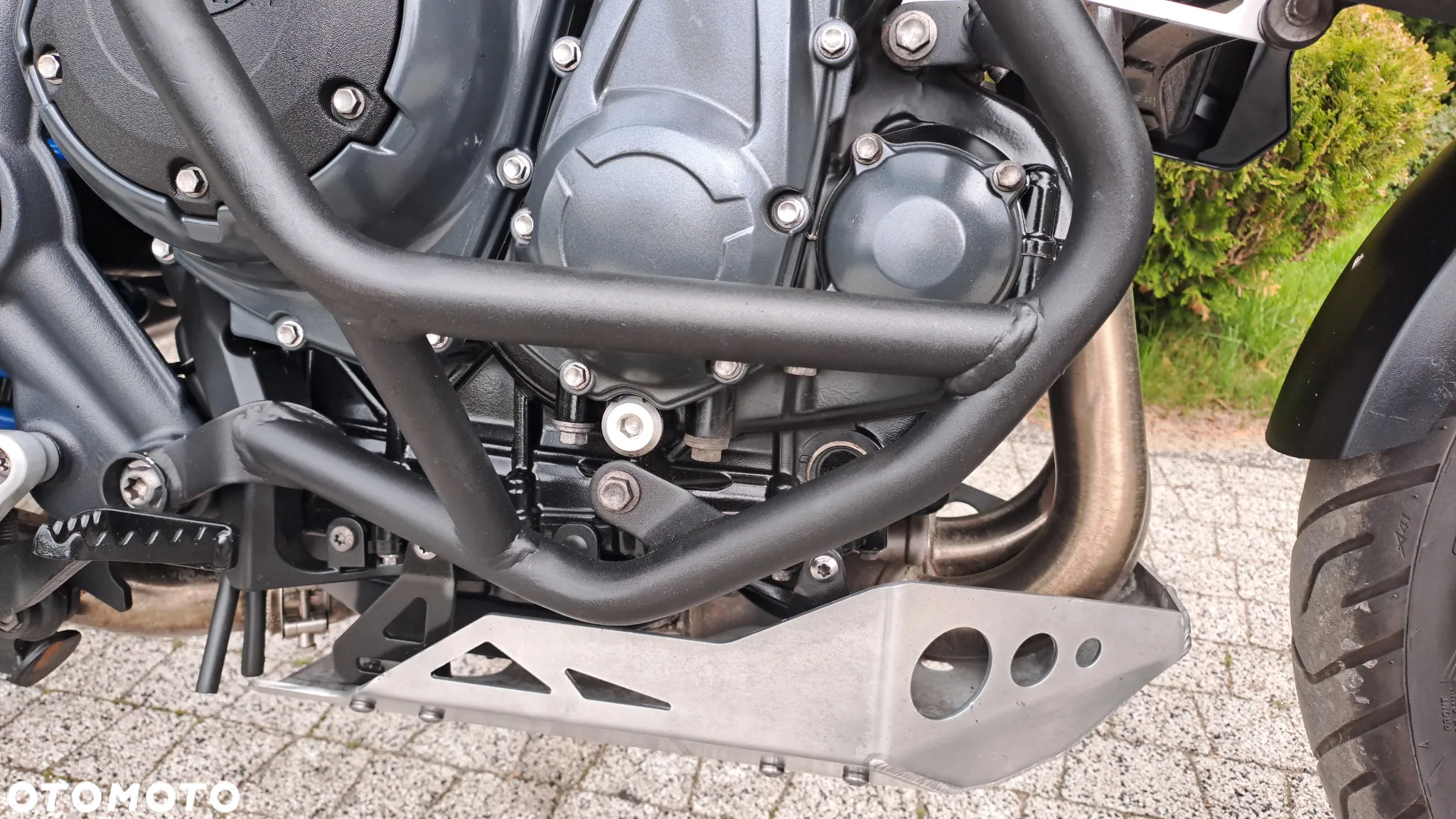 Triumph Tiger - 15