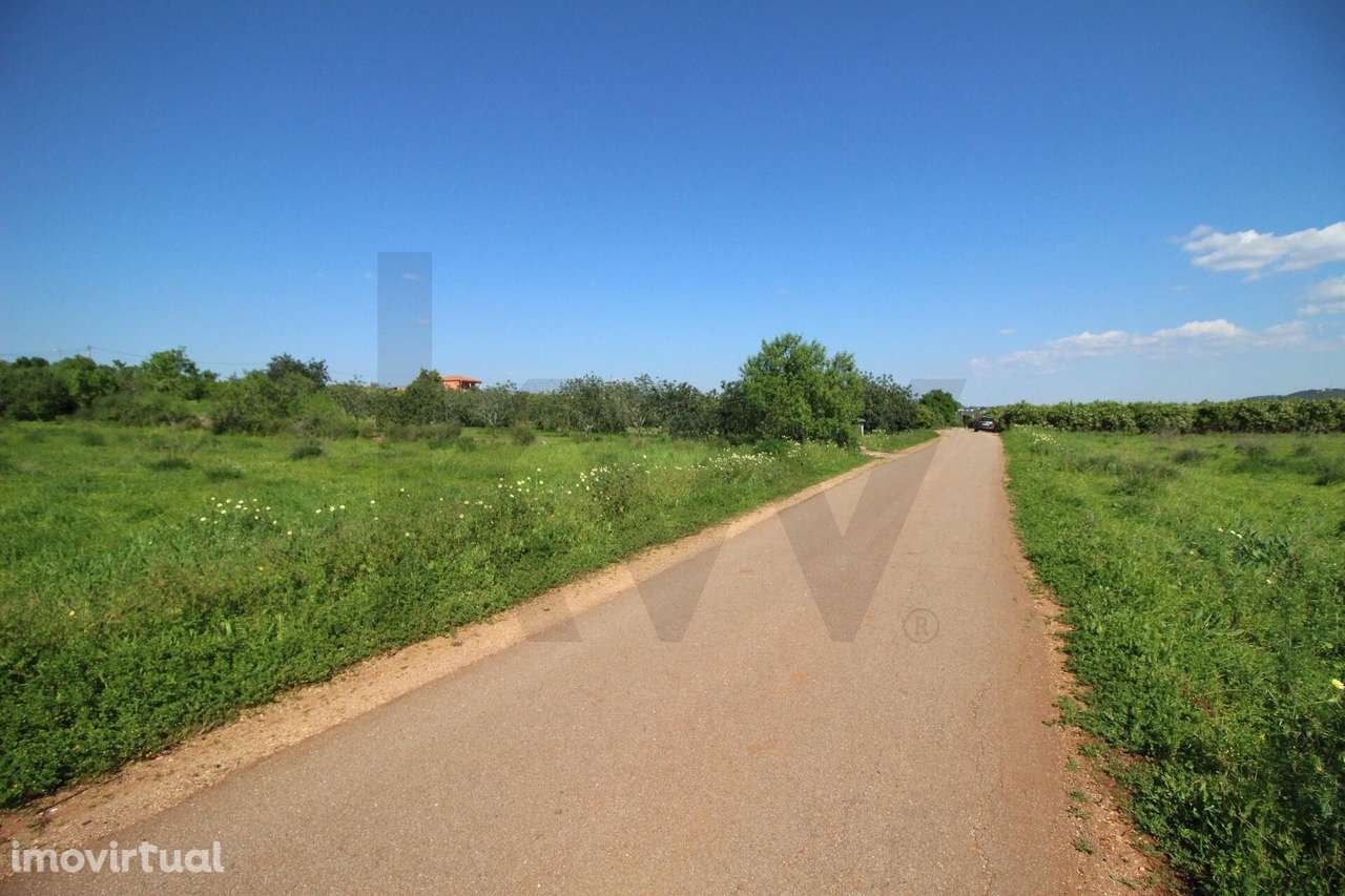 Terreno rustico com 8610 m2, Barranco Longo, Algoz - Grande imagem: 2/20