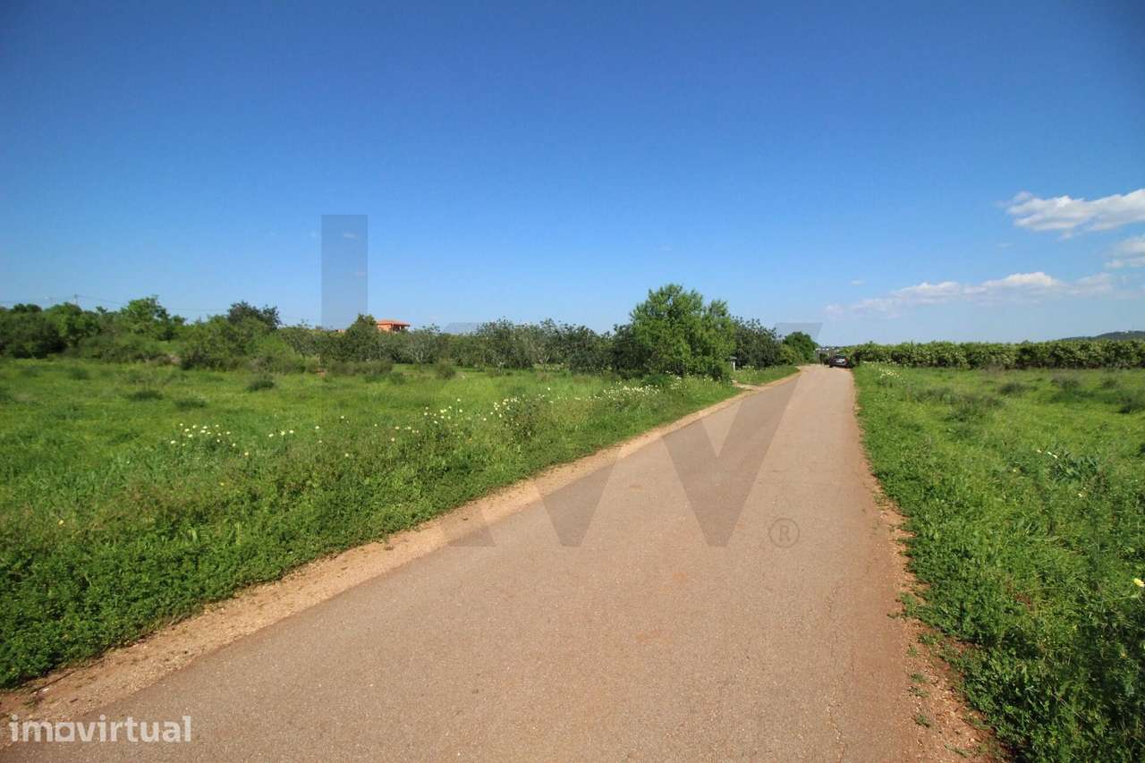 Terreno rustico com 8610 m2, Barranco Longo, Algoz - Grande imagem: 2/20